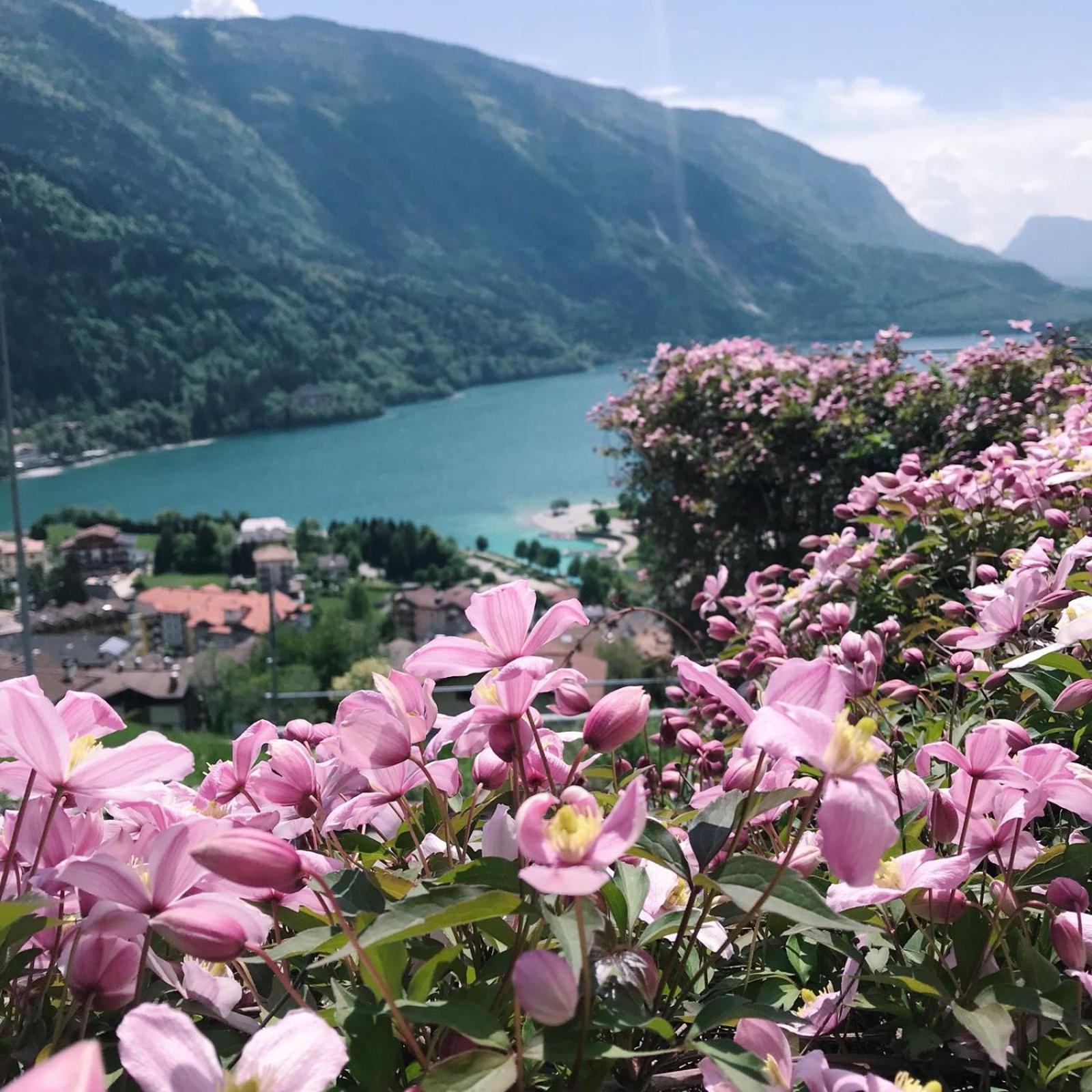 Villa Gardenia Molveno Exterior photo